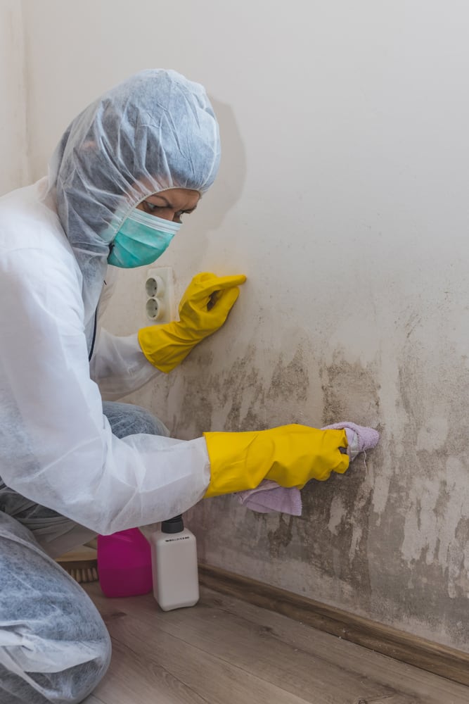 dry fog mold removal service in Miami, Florida dry fog mold removal service in Miami, Florida