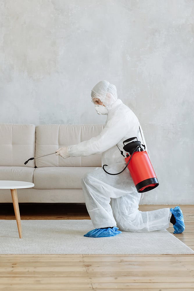 office sanitation services | Spartan Cleaning | (786) 600-3669 office sanitation services | Spartan Cleaning | (786) 600-3669